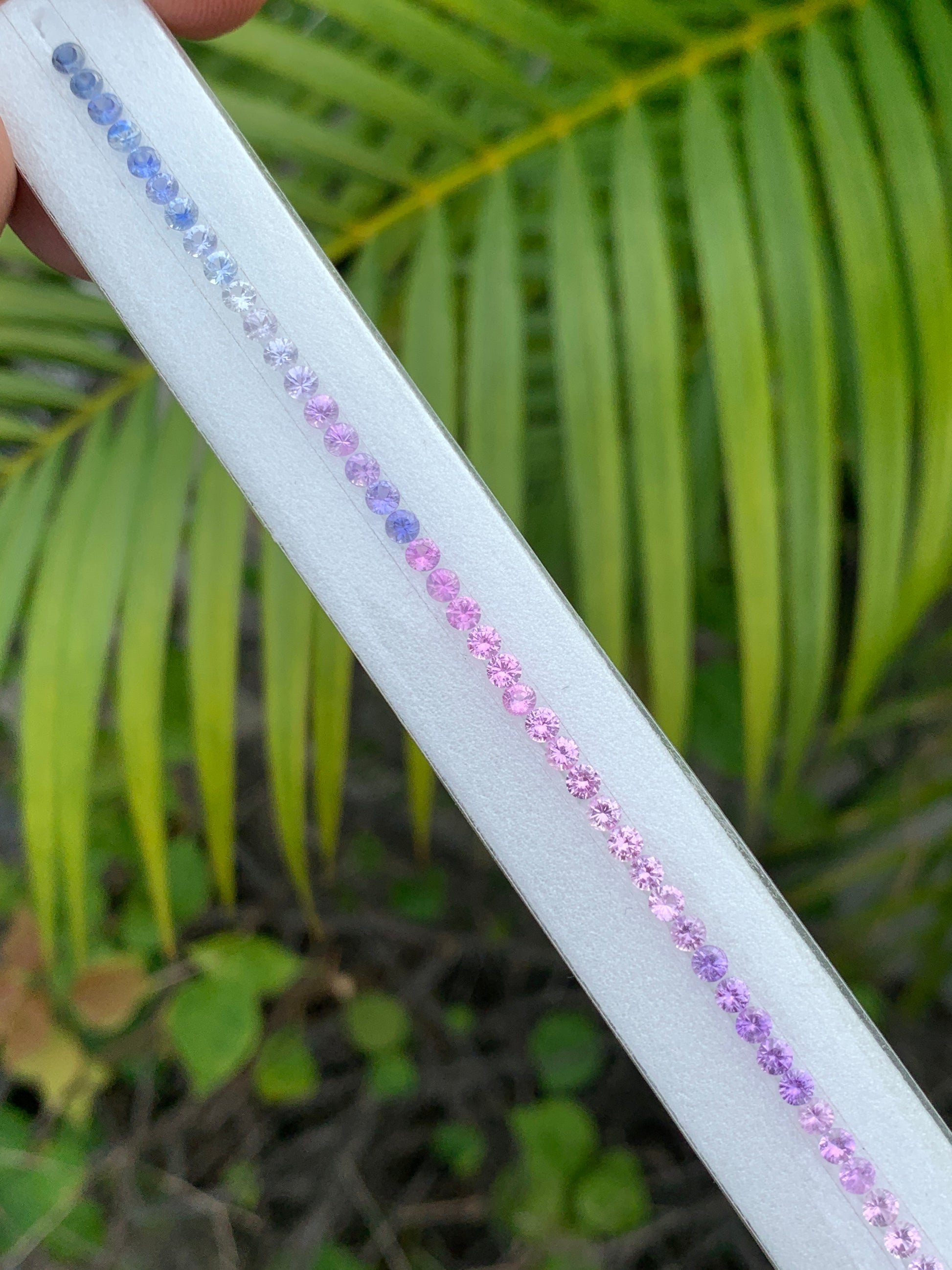 Unheated Madagascar sapphire calibrated 2.7mm round brilliant cut 64 pieces 18cm strand