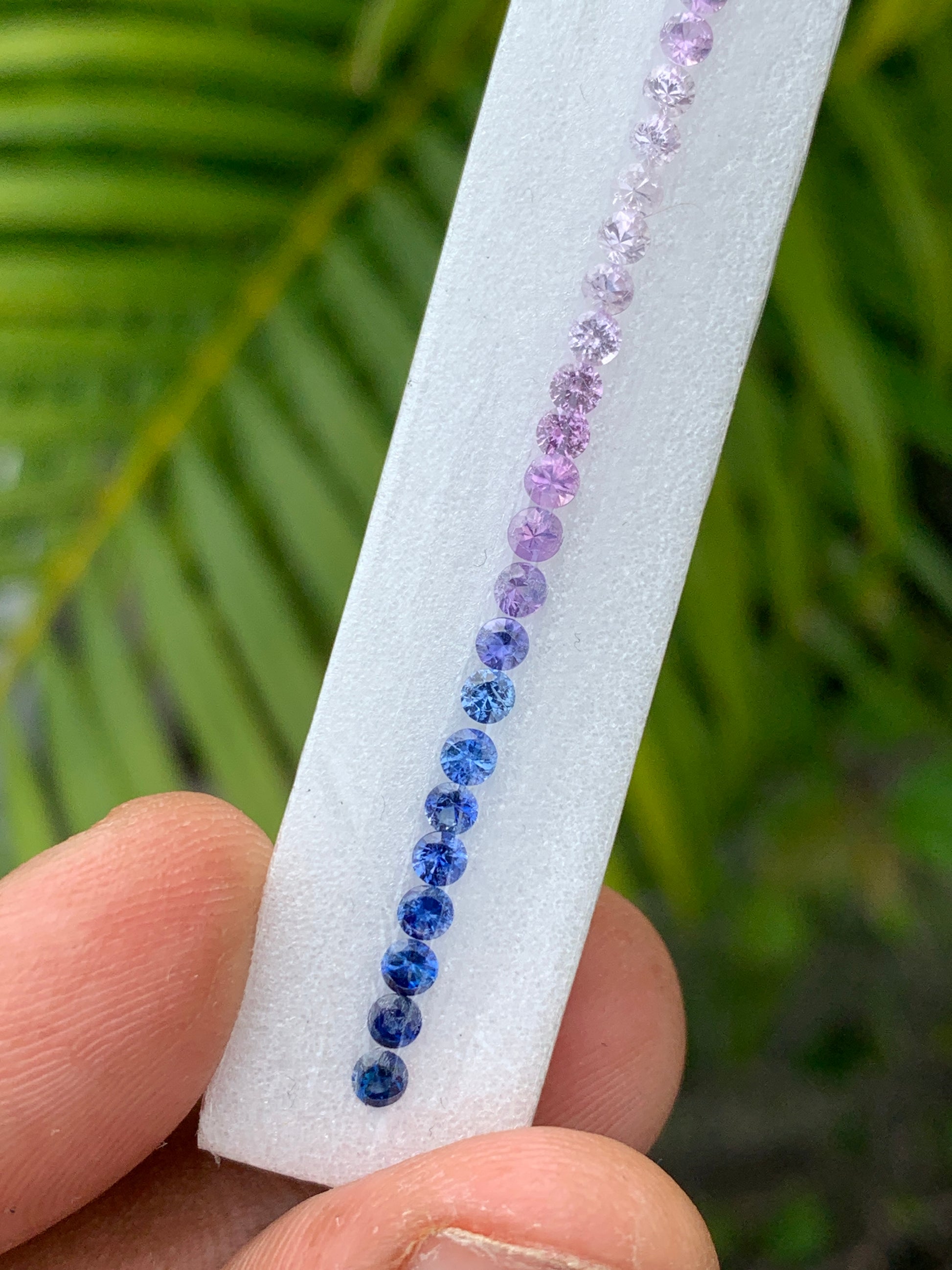 Natural fancy sapphire blue purple pink pastel gradient loose stones
