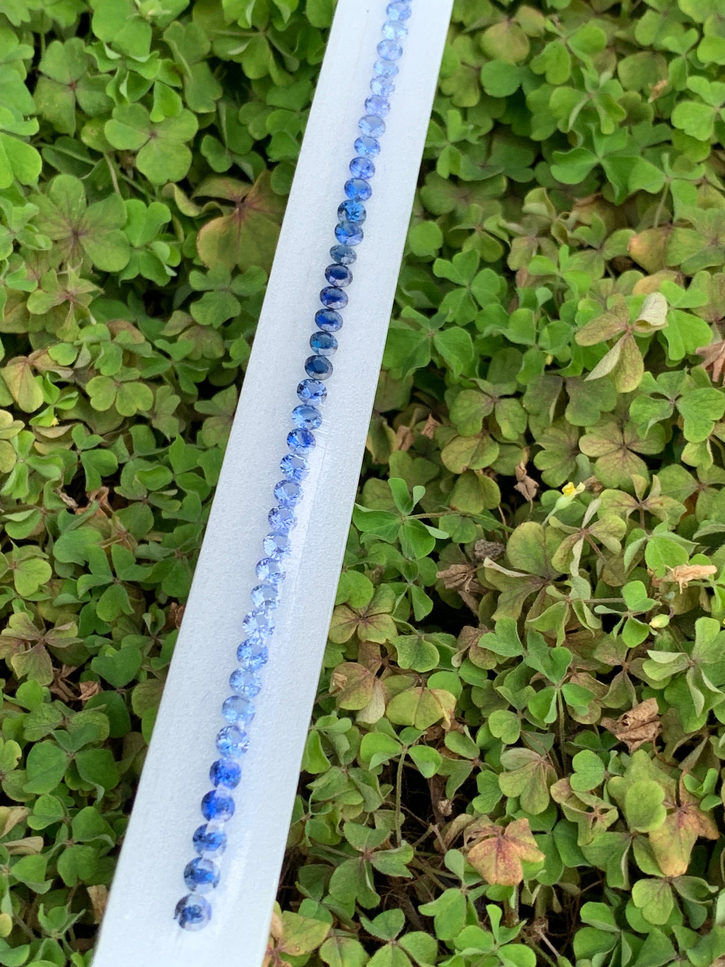 Natural blue sapphire ombre round 4mm dark to light gradient close up