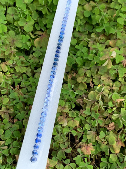 Natural blue sapphire ombre round 4mm dark to light gradient close up