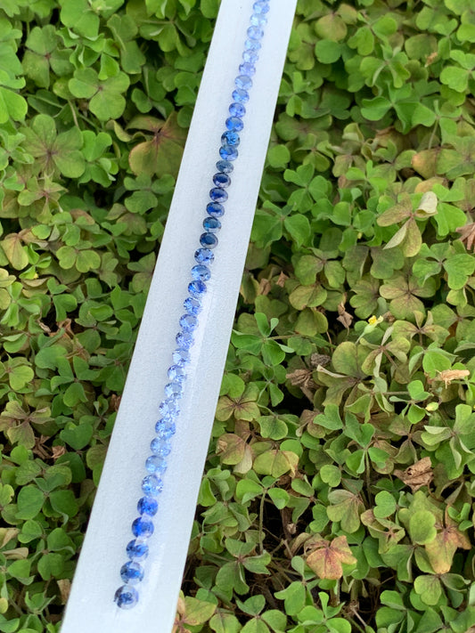 Natural blue sapphire ombre round 4mm dark to light gradient close up