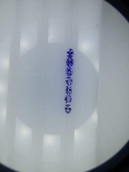 tanzanite oval matching pair earring set, photo 5
