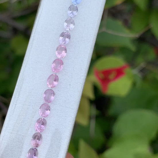 Pastel pink and blue sapphire oval layout ZG-LJS video