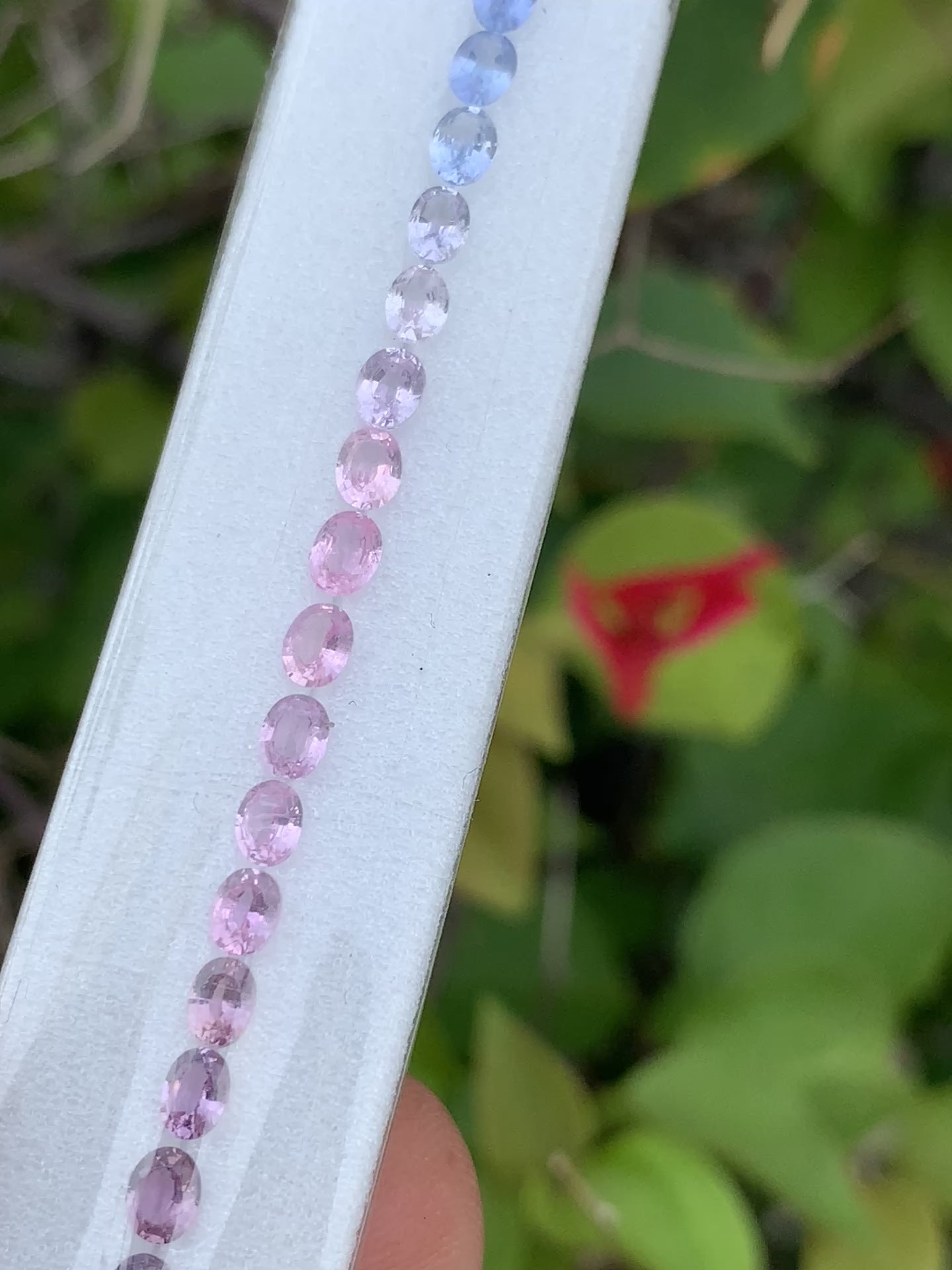 Pastel pink and blue sapphire oval layout ZG-LJS video