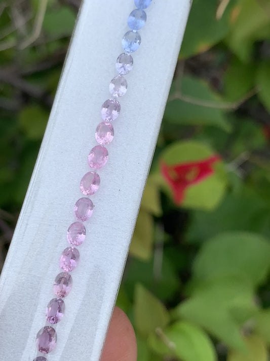 Pastel pink and blue sapphire oval layout ZG-LJS video