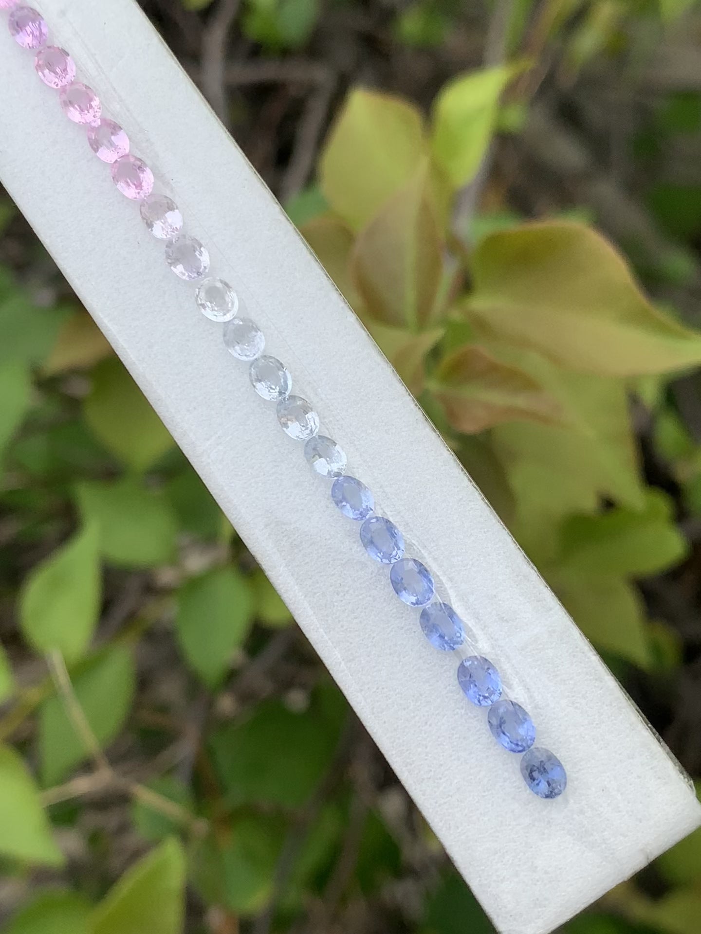 Natural rainbow sapphire oval pastel set 4x3mm calibrated video