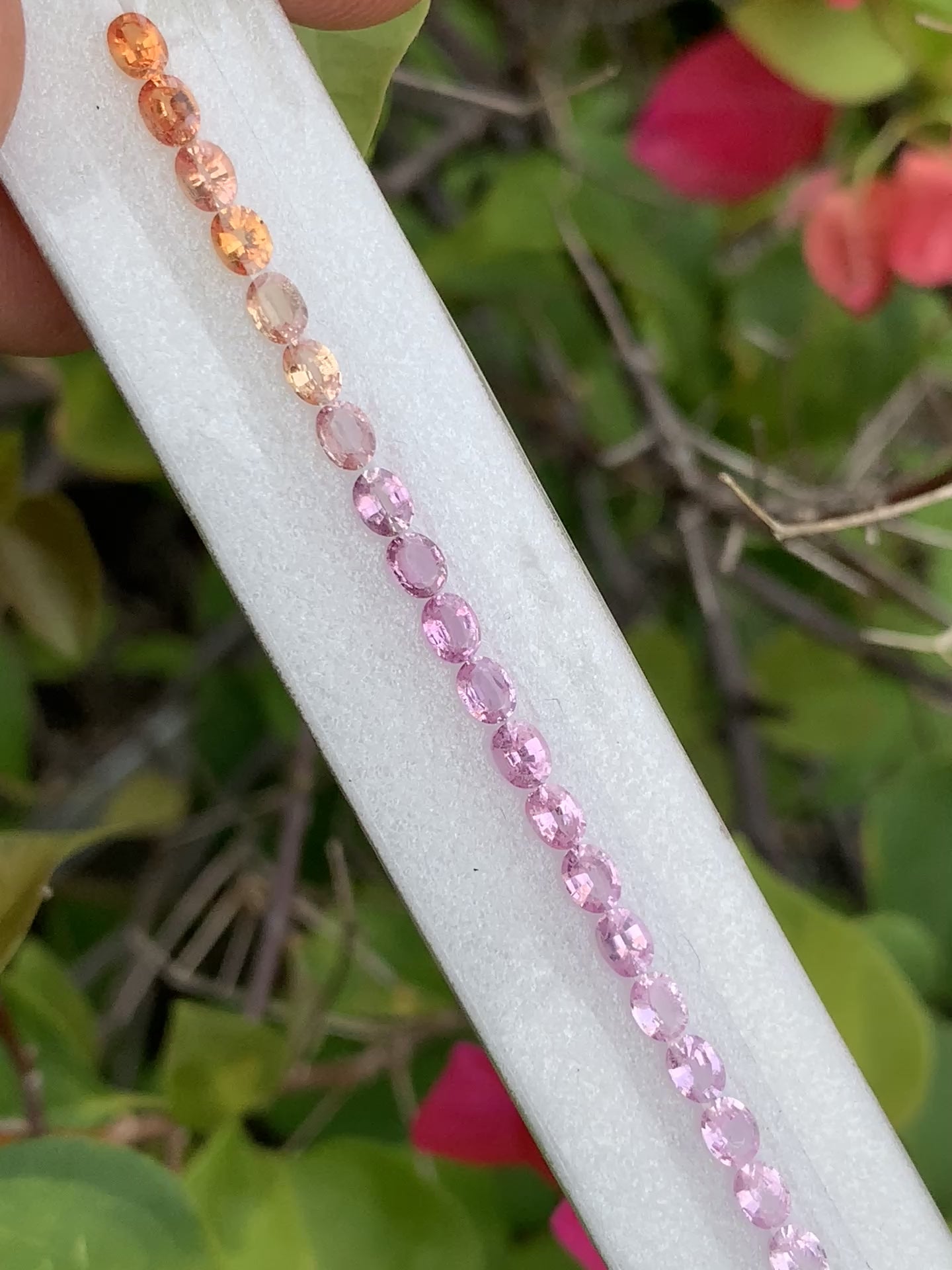 Natural pastel rainbow sapphire oval ZG-LJS layout tennis bracelet video