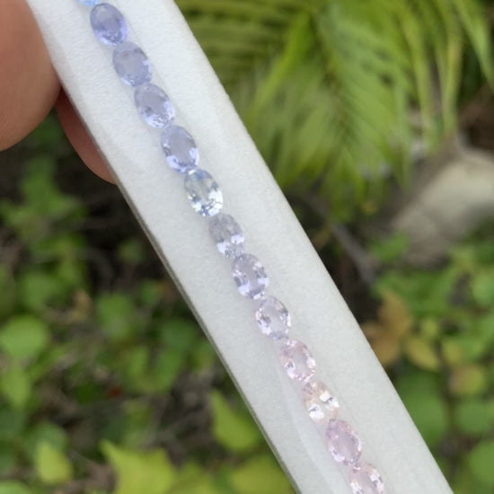 Natural fancy sapphire oval 6x4mm pastel tennis bracelet video