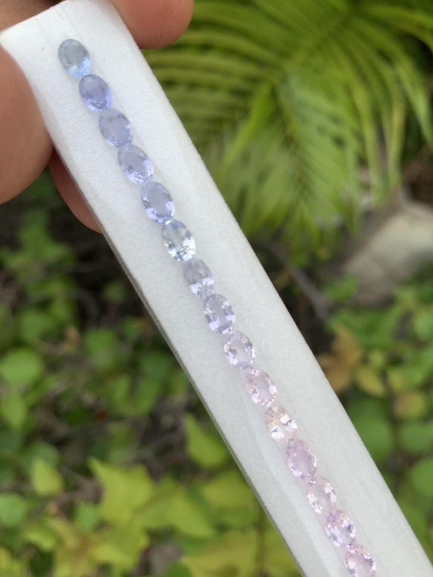 Natural fancy sapphire oval 6x4mm pastel tennis bracelet video