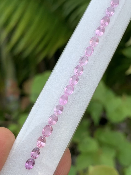 Natural soft pink sapphire oval layout ZG-LJS video
