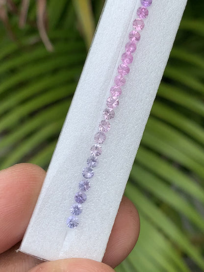 Natural Pastel Fancy Sapphire Round Cut Loose Gemstone Set | 2.7mm 64 Pieces - Blue to Pink Gradient | For Tennis Bracelet Making