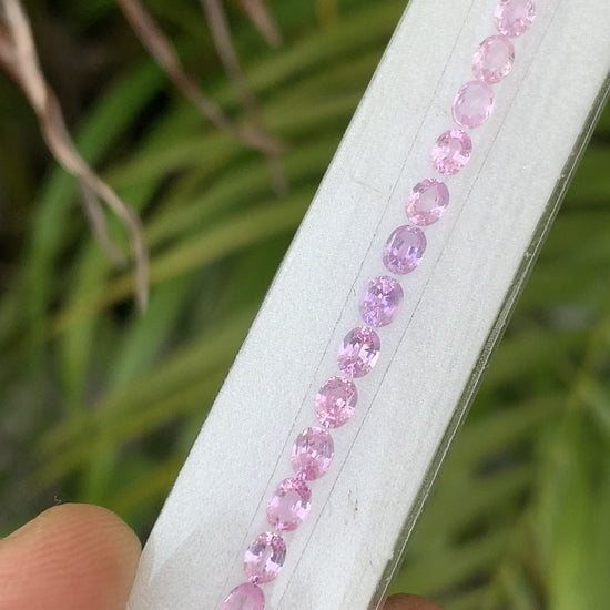 Natural soft pink sapphire oval 4x3mm tennis bracelet video
