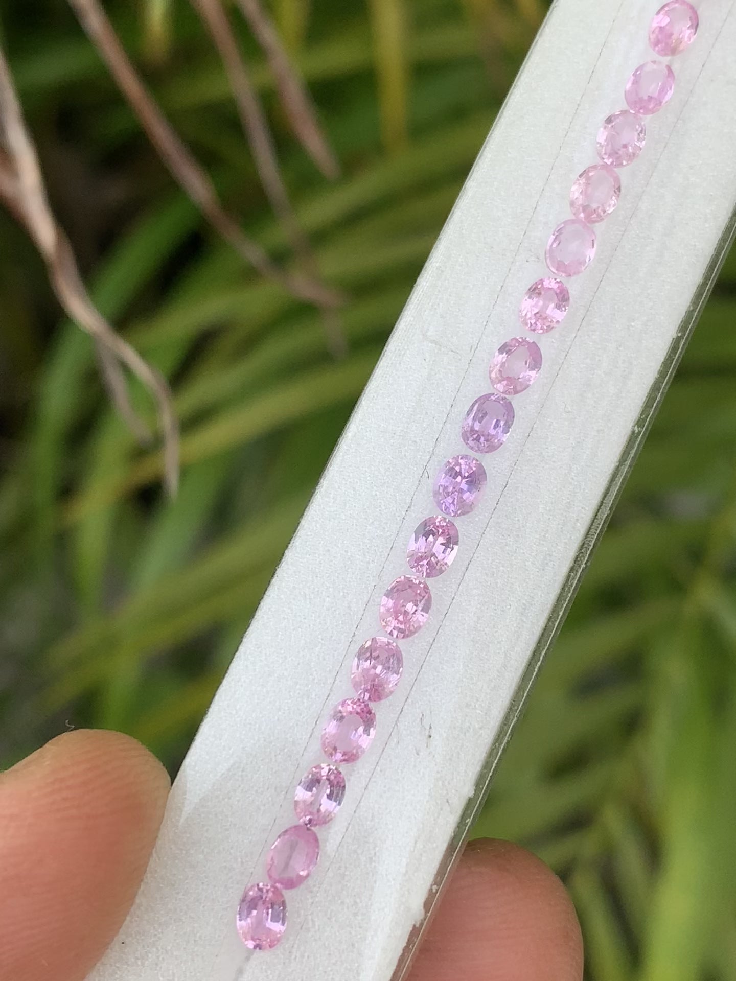 Natural soft pink sapphire oval 4x3mm tennis bracelet video