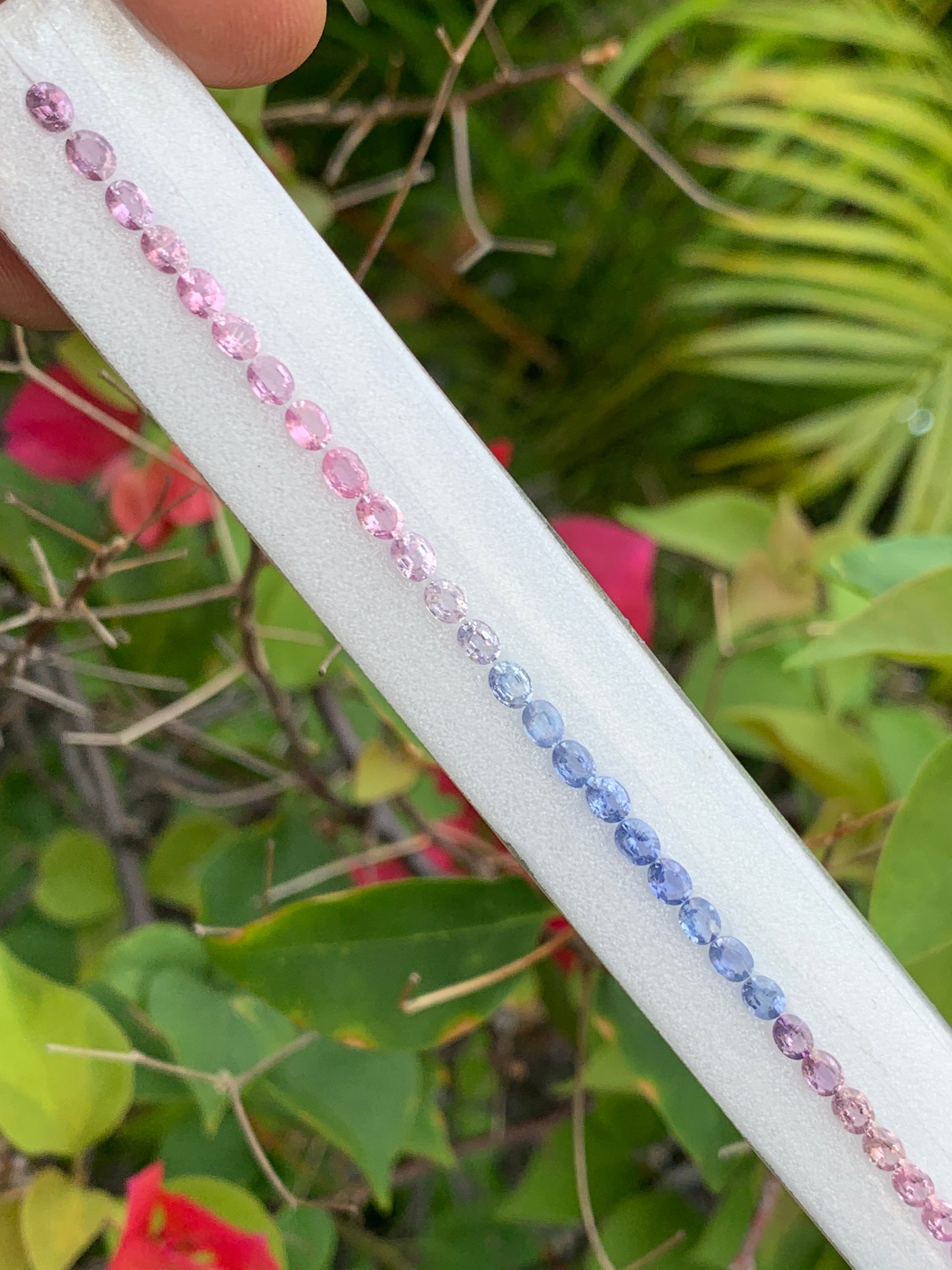 Madagascar unheated sapphire oval graduated pink to blue gradient