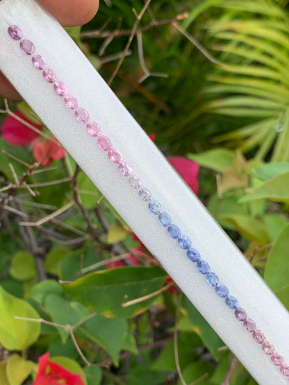 Madagascar unheated sapphire oval graduated pink to blue gradient