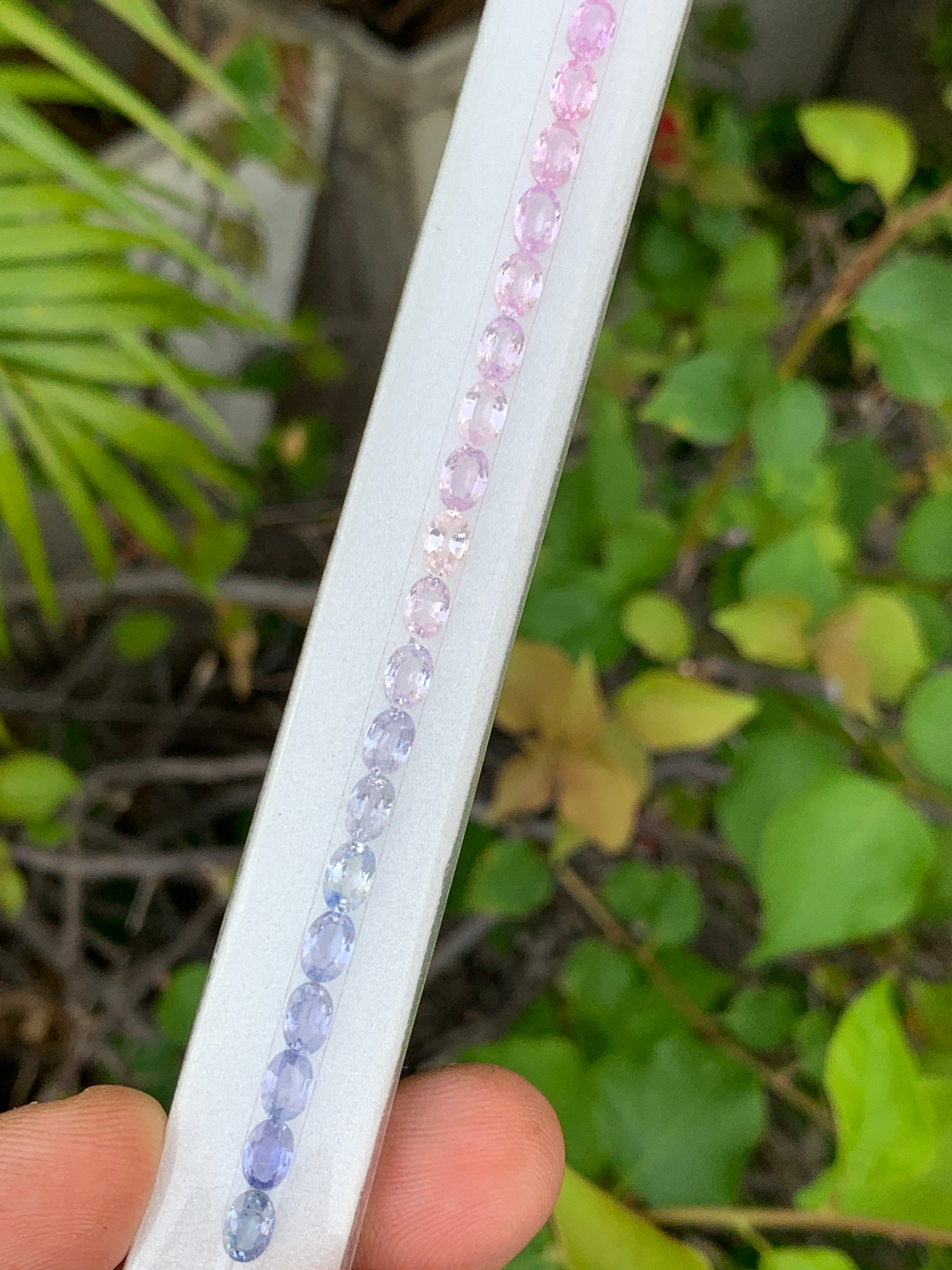 Natural sapphire oval pastel multicolor strand 15.30 carats wholesale loose gemstones