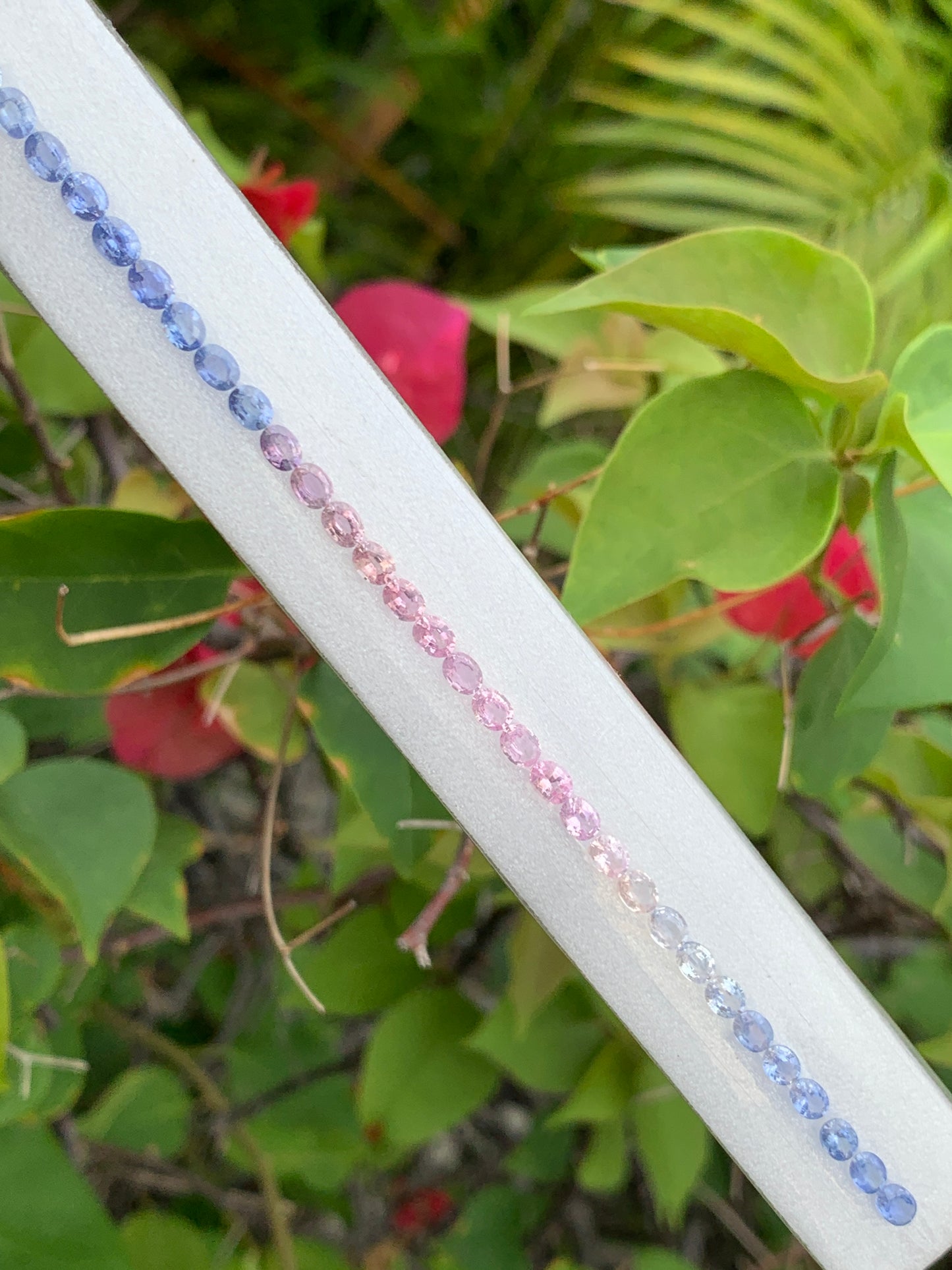 Natural pastel pink and blue sapphire oval 4x3mm 44 pieces layout close up