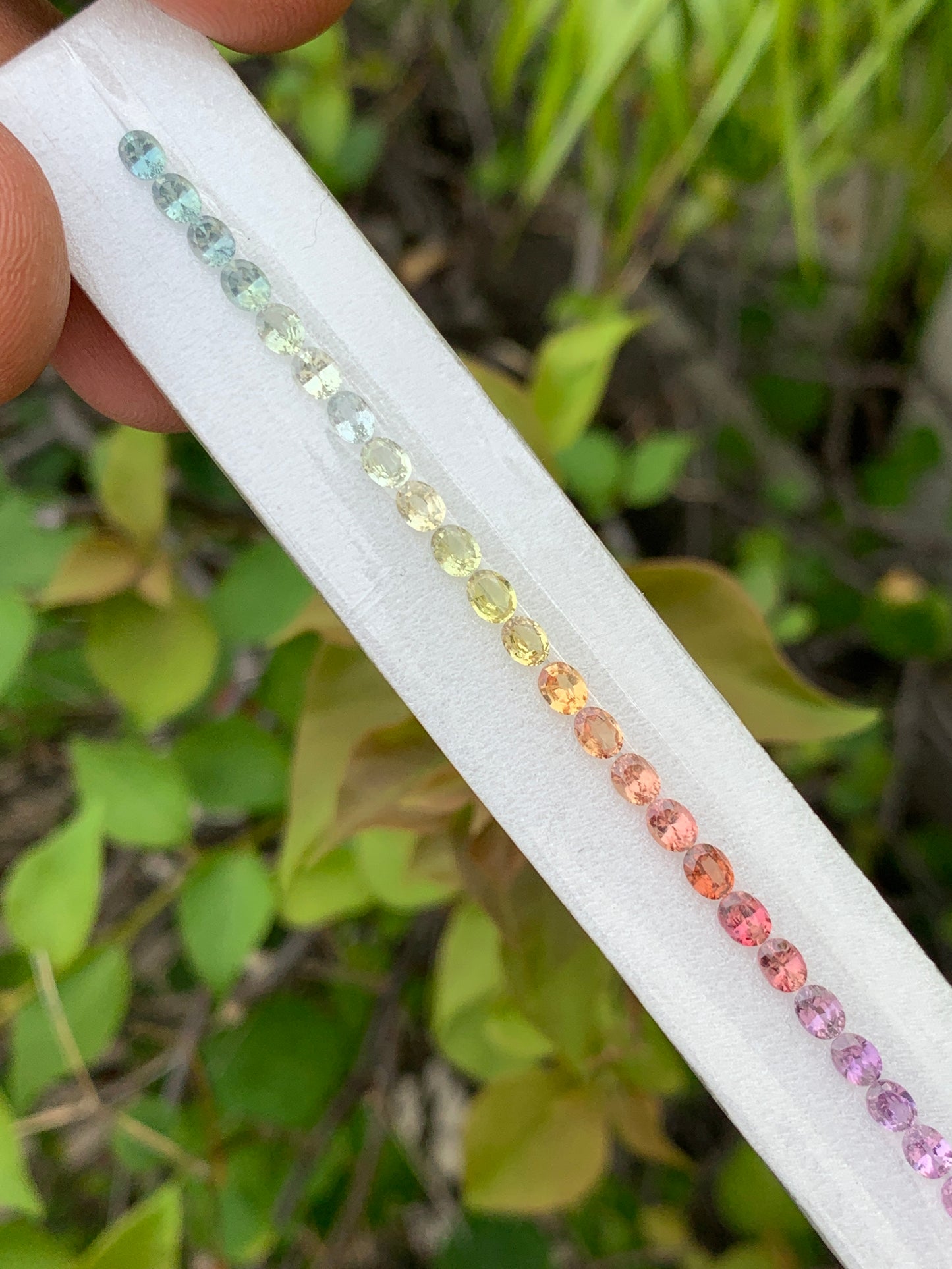 Unheated Madagascar rainbow sapphire oval calibrated close up multi color